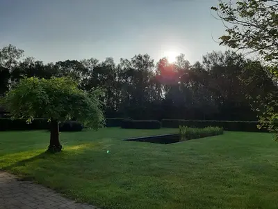 a tree in the middle of a green field at B&B De Levensboom in Tessenderlo