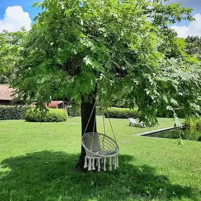 B&B De Levensboom