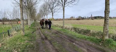 two men walking down a dirt road with trees at Docs House in Wetteren