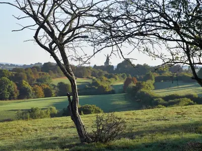a tree sitting in the middle of a field at Glabbeek Family Retreat Home in Bunsbeek