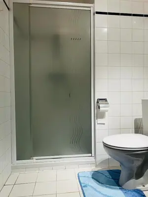 a glass shower door in a bathroom with a toilet at Jardin Botanique in Brussels