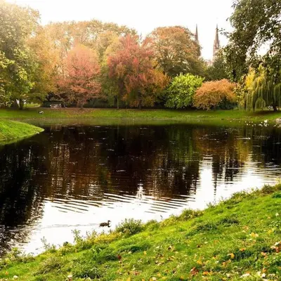 a pond in a park with trees reflecting in the water at Cosy Appartement met Tuin in Centrum Antwerpen - Gratis Parking & WiFi in Antwerp