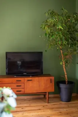a tv sitting on top of a wooden dresser with a potted plant at Gezellig appartement op het hippe Zuid in Antwerp