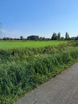 a field of grass next to a road at Green HOME Wieze in Wieze