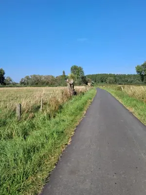 a road in the middle of a field at Green HOME Wieze in Wieze