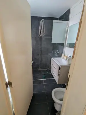 a bathroom with a toilet and a sink and a mirror at Back Yard Home in Antwerp