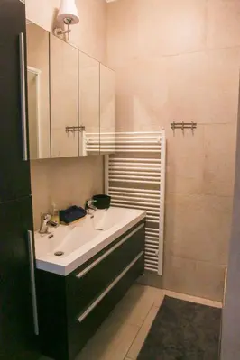 a bathroom with a sink and a mirror and a shower at Appartement hôtel BRUXELLES CENTRE in Brussels