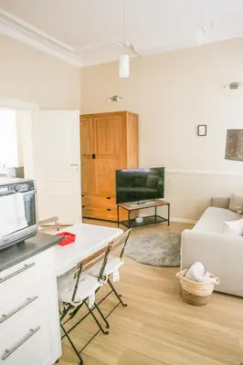 a living room with a couch and a tv at Appartement hôtel BRUXELLES CENTRE in Brussels