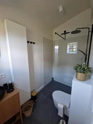 a bathroom with a toilet and a sink at De Mispel in Groot Schaddeken Dries