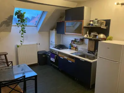 a small kitchen with a sink and a refrigerator at Duplex 3 chambres à Saint-Gilles in Brussels