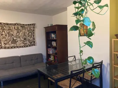 a living room with a table and a plant at Duplex 3 chambres à Saint-Gilles in Brussels