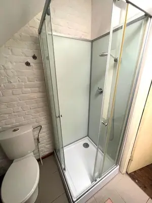 a bathroom with a shower and a toilet at Duplex 3 chambres à Saint-Gilles in Brussels