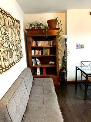 a living room with a couch and a book shelf at Duplex 3 chambres à Saint-Gilles in Brussels