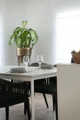 a table with two glasses and a potted plant on it at Galalith in Antwerp