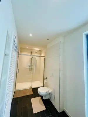 a bathroom with a white toilet and a shower at Loft Retreat in Brussels