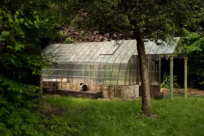 a cat sitting on a bench in front of a greenhouse at La Petite Foret Cottage in Brussels Countryside in Asse