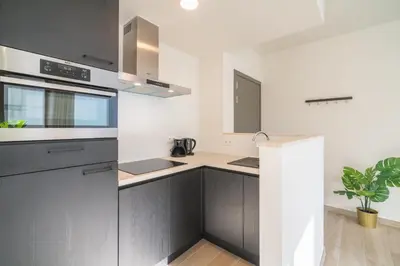 a kitchen with gray cabinets and a stove top oven at Opera Apartments in the Center of Antwerp in Antwerp