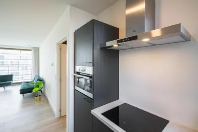 a kitchen with black cabinets and a stove top oven at Opera Apartments in the Center of Antwerp in Antwerp