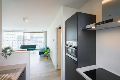 a kitchen with black cabinets and a living room at Opera Apartments in the Center of Antwerp in Antwerp