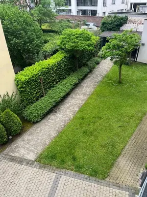 a garden with two trees and green grass at Coeur de Bruxelles, Grand-Place et Mannekenpiss in Brussels