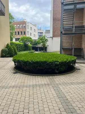 a large green bush in the middle of a courtyard at Coeur de Bruxelles, Grand-Place et Mannekenpiss in Brussels