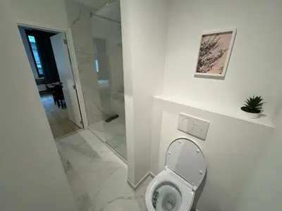 a white bathroom with a toilet and a shower at Two bedroom loft in the city center by the Meir in Antwerp