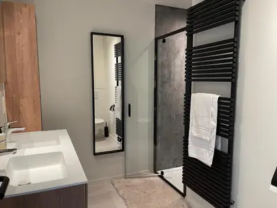 a bathroom with a sink and a mirror at Penthouse with Airconditioning and Big Terrace, Close to Gent Sint-Pieters Station and City Centre in Ghent