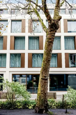 a tree in front of a building with windows at Motel One Antwerp in Antwerp