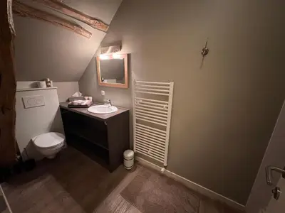 a bathroom with a sink and a toilet at B&B De Vreehoeve in Merksplas