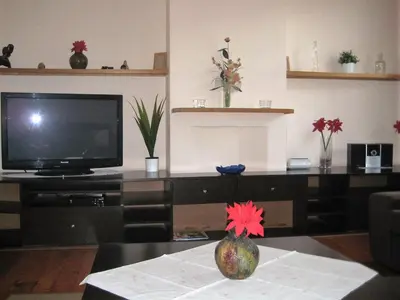 a living room with a tv and a vase on a table at Apparts Chez Odak in Brussels