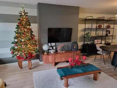a living room with a christmas tree and a tv at Charlemagne in Mechelen