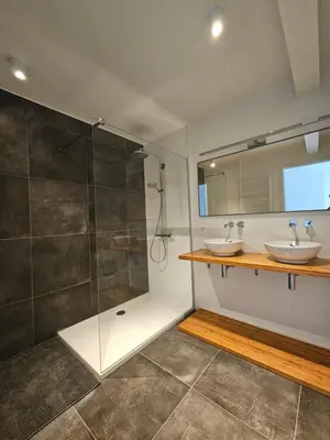 a bathroom with two sinks and a shower at Penthouse with big terrace in Vilvoorde