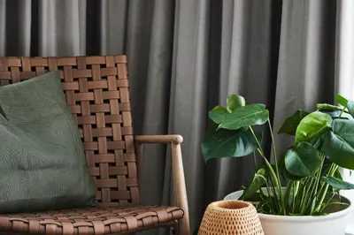 a chair and a potted plant in front of a curtain at Vakantiewoning Het Kasterhuis in Wetteren