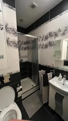 a bathroom with a shower and a toilet and a sink at Two bedroom flat - Hyper Center Brussels in Brussels