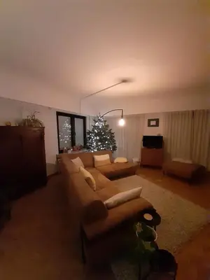 a living room with a couch and a christmas tree at TML Vintage Villa 80 in Boom