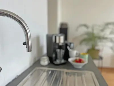 a kitchen sink with a bowl of fruit on a counter at Astrid Sauna Appartement Antwerp in Antwerp