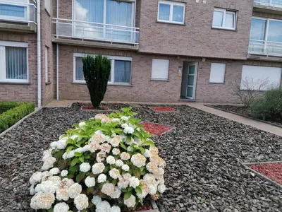 a garden of flowers in front of a building at Antwerp horizon in Borsbeek