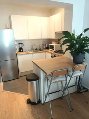 a kitchen with a table and a potted plant at Beautiful 2 bedroom apartment in Place Flagey bxl in Brussels