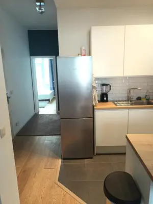 a kitchen with a stainless steel refrigerator in a room at Beautiful 2 bedroom apartment in Place Flagey bxl in Brussels