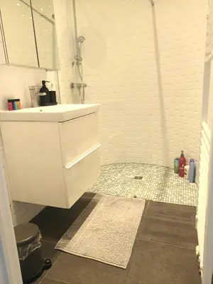 a bathroom with a white sink and a shower at Beautiful 2 bedroom apartment in Place Flagey bxl in Brussels