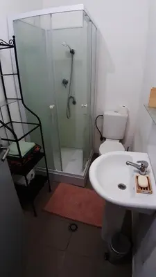 a bathroom with a shower and a sink and a toilet at Appartement cozy à Saint-Gilles in Brussels