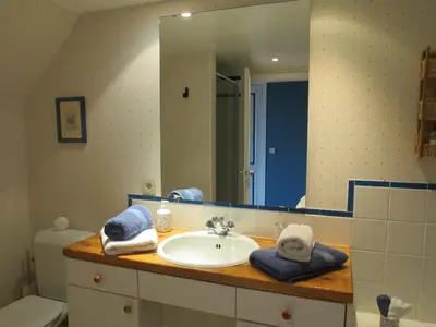 a bathroom with a sink and a large mirror at B&B Woluwé in Brussels