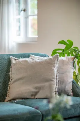a blue couch with two pillows and a plant at Boonackere Cottage in Oosterzele