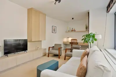 a living room with a couch and a tv at Deluxe 2-BR Apartment in Antwerp in Antwerp