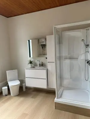 a white bathroom with a shower and a toilet at CasaVerde Family House With Duplex Suite in Ghent