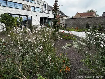 a garden with white flowers in front of a building at Vakantiewoning Erf64 in Sint-Amands