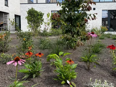 a garden with colorful flowers in front of a building at Vakantiewoning Erf64 in Sint-Amands