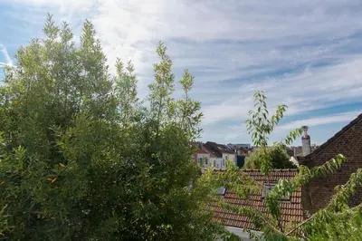 a group of trees on top of a roof at Brussels Flagey Elegant in Brussels