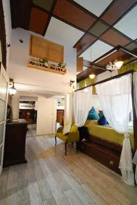 a bedroom with a large bed with a canopy at Magical double bedroom duplex in Brussels