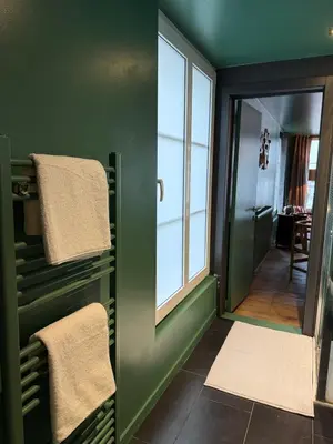 a bathroom with green walls and a window and towels at RR Suite in Antwerp